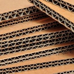 Placă carton tip CO5 1000 x 1200 mm Placă carton tip CO5 1000 x 1200 mm