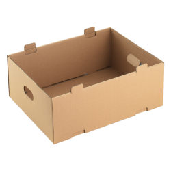 Lădiţă carton 520x400x200 mm, 3 straturi CO3, Set 25 bucăţi